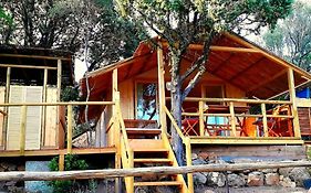 Stazzu La Capretta Farm Camping & Guest Rooms